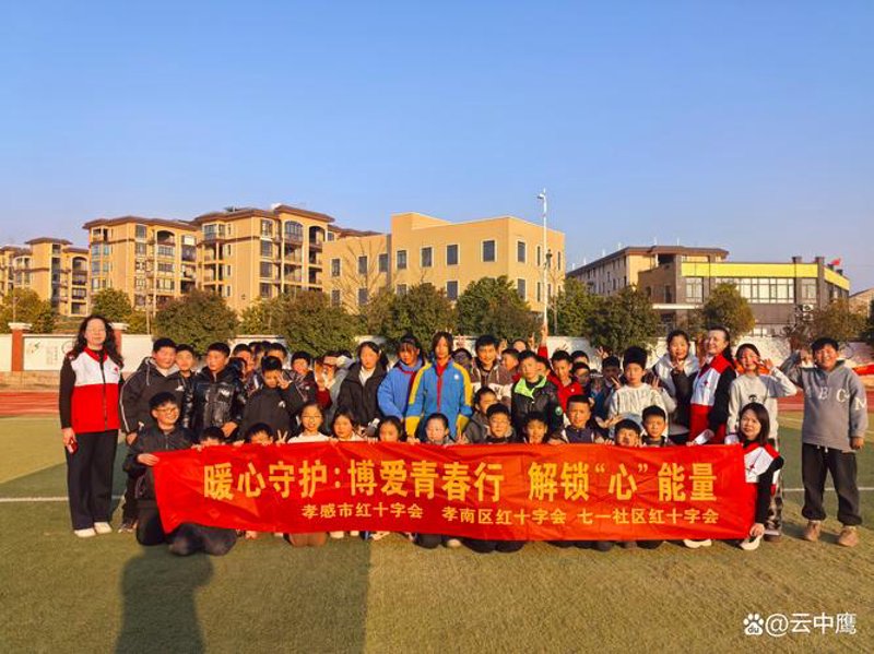 如何选择合适的心理辅导服务？